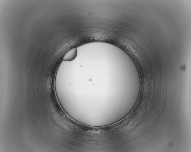 X0000094180639200710260933