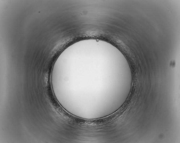 X0000094180640200710260933