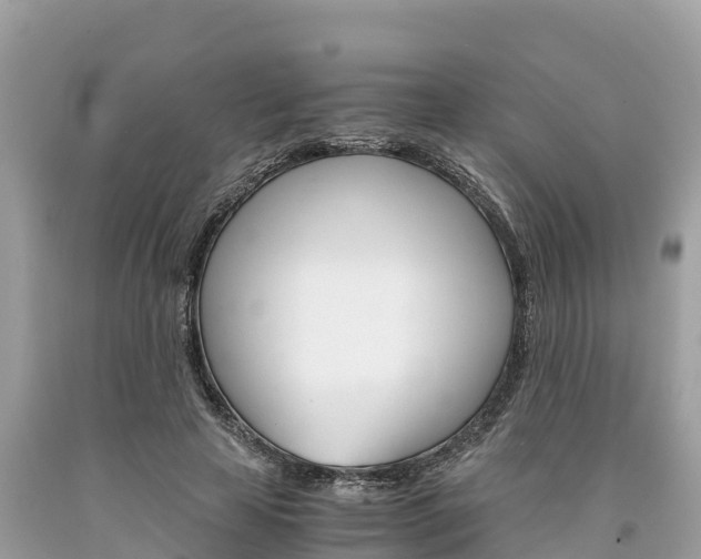 X0000094180641200710260933