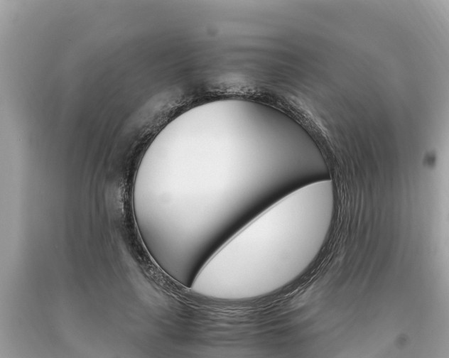 X0000094180643200710260933