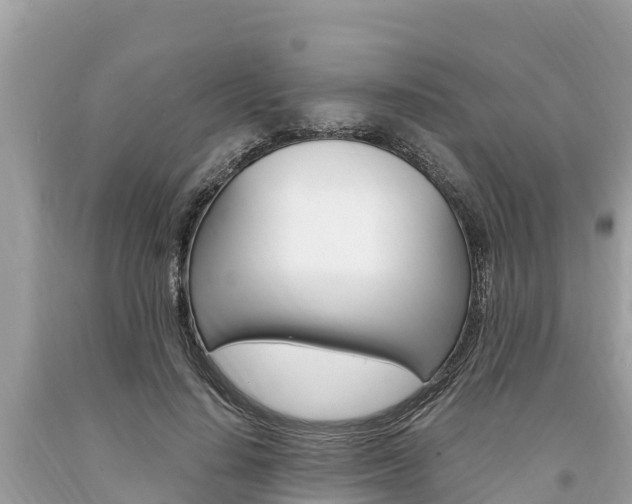 X0000094180644200710260933