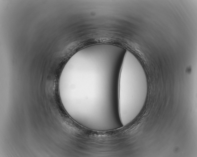 X0000094180645200710260933