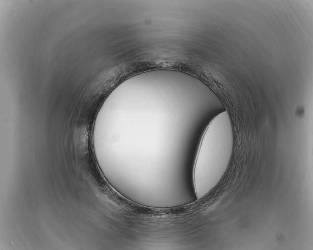 X0000094180646200710260933