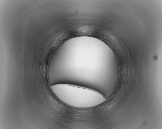 X0000094180649200710260933
