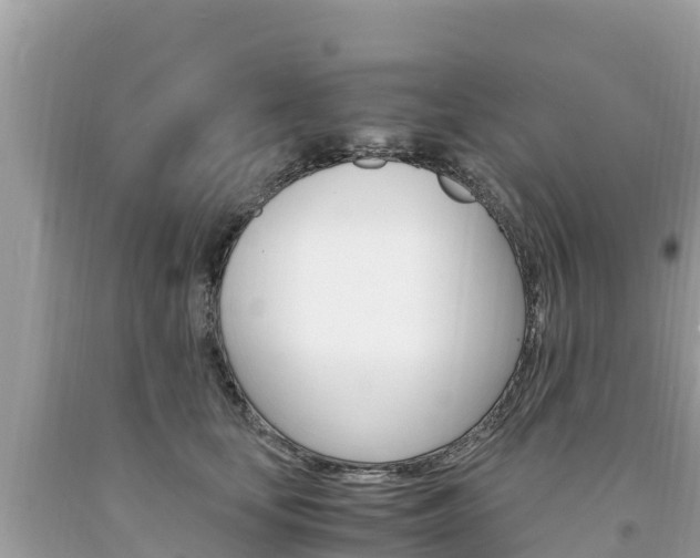 X0000094180659200710260933