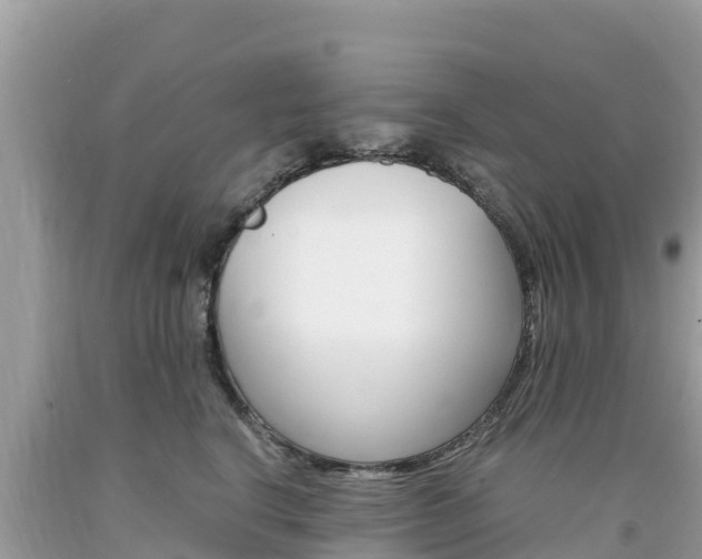 X0000094180664200710260933