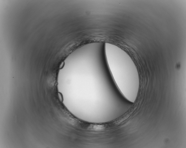 X0000094180665200710260933