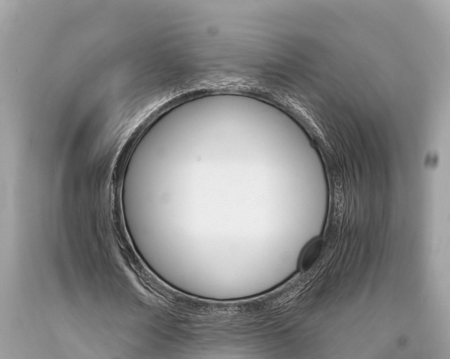 X0000094180674200710260932
