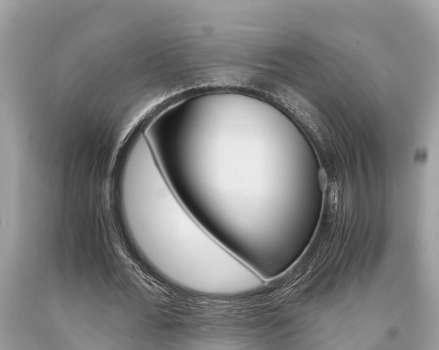 X0000094180676200710260932