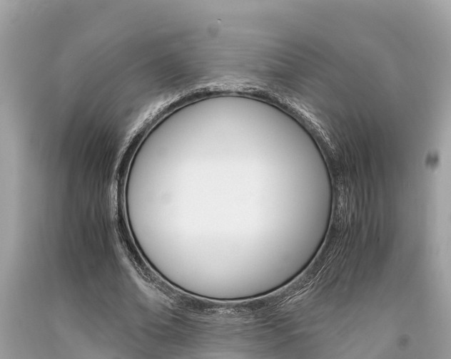 X0000094180678200710260932