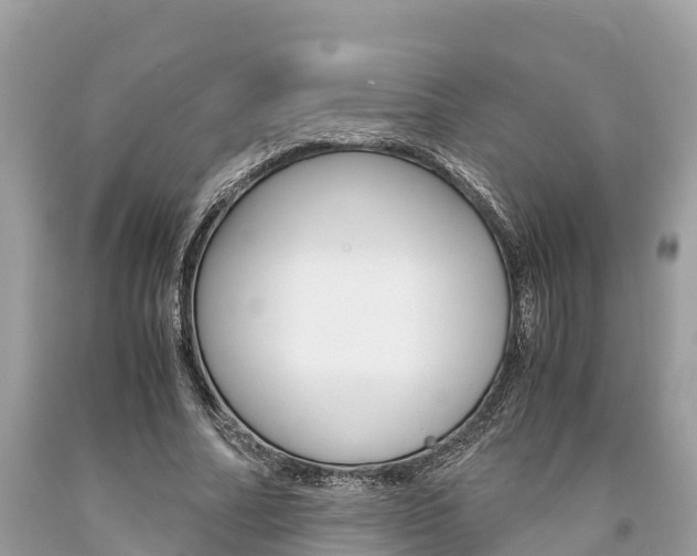 X0000094180682200710260932