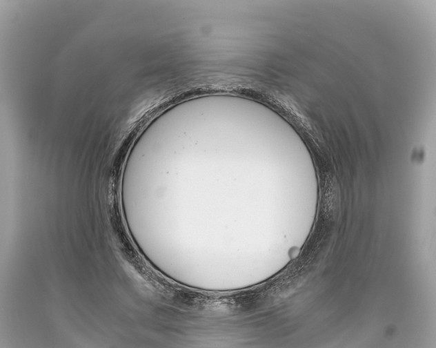 X0000094180683200710260932