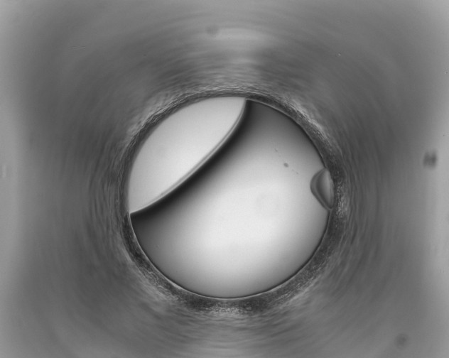 X0000094180685200710260932