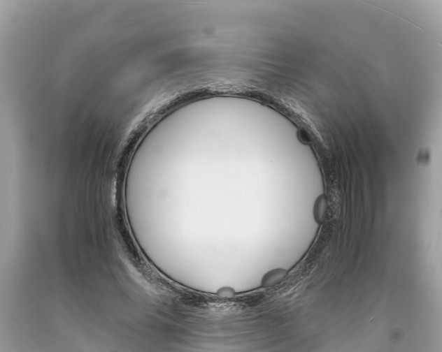 X0000094180686200710260932