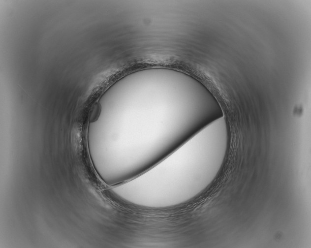 X0000094180688200710260932