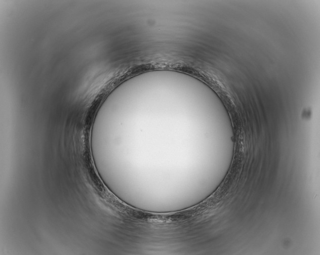 X0000094180690200710260932