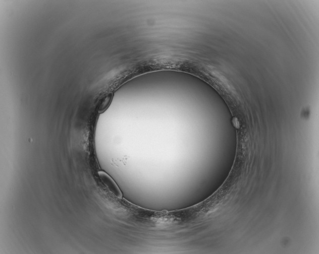 X0000094180693200710260932