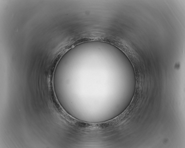 X0000094180696200710260932