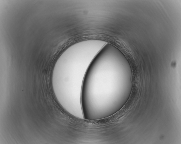 X0000094180697200710260932