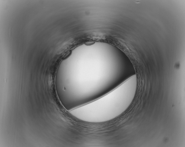 X0000094180704200710260932