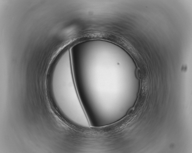 X0000094180722200710260931