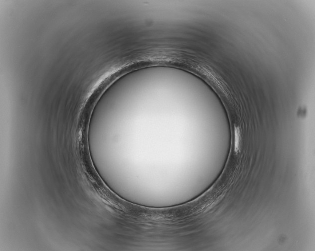 X0000094180723200710260931