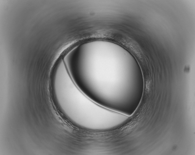 X0000094180724200710260931