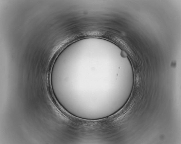 X0000094180725200710260931