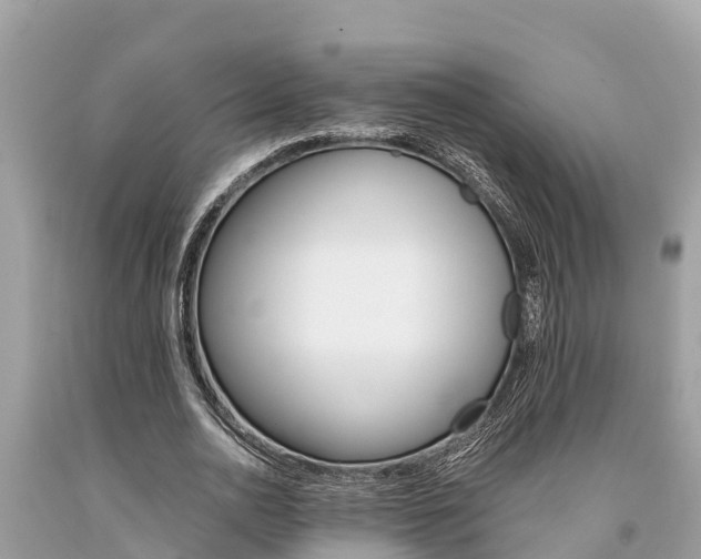 X0000094180726200710260931