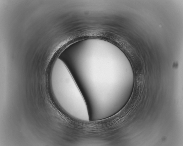 X0000094180727200710260931