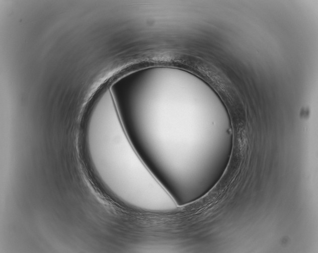 X0000094180728200710260931