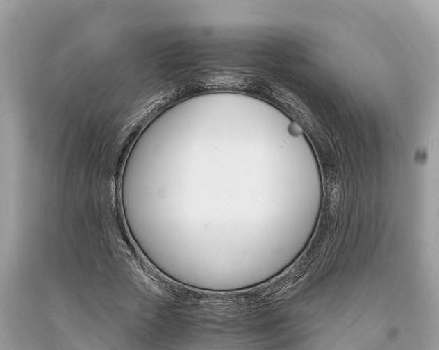 X0000094180729200710260931