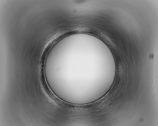 X0000094180730200710260931