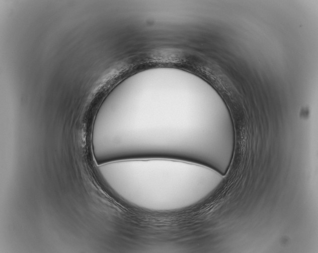 X0000094180731200710260931