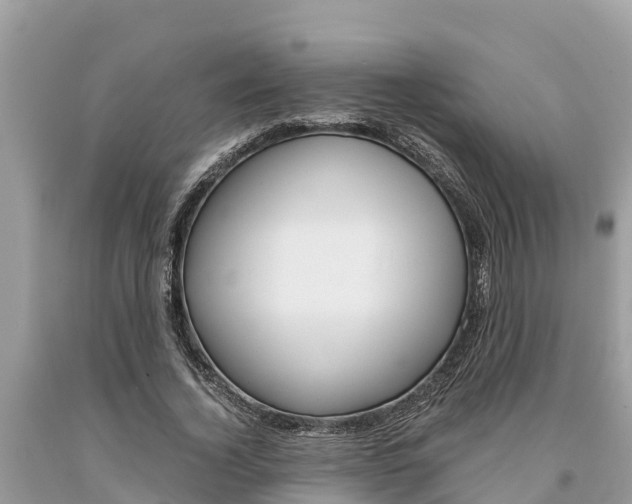 X0000094180732200710260931