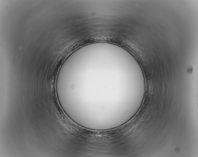 X0000094180737200710260931