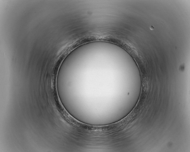 X0000094180740200710260931