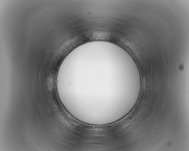 X0000094180741200710260931