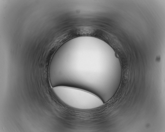 X0000094180743200710260931