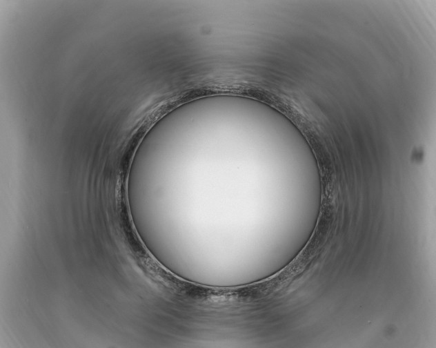 X0000094180744200710260931