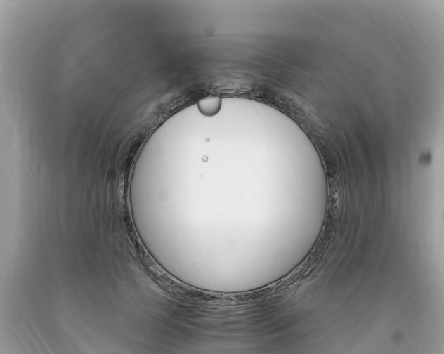 X0000094180745200710260931