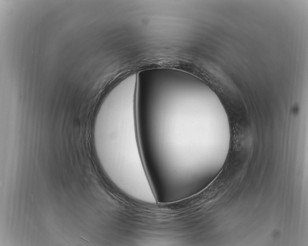 X0000094180748200710260931