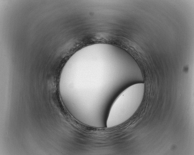 X0000094180751200710260931