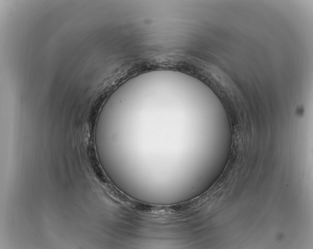 X0000094180752200710260931