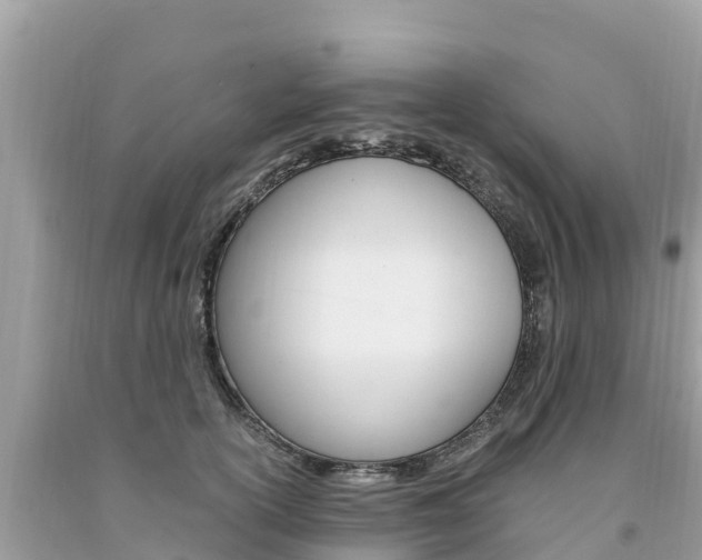 X0000094180754200710260931