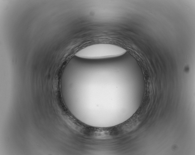 X0000094180760200710260932