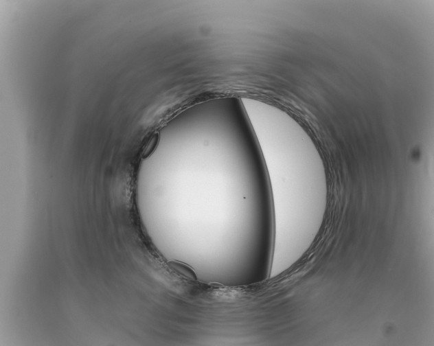 X0000094180762200710260932