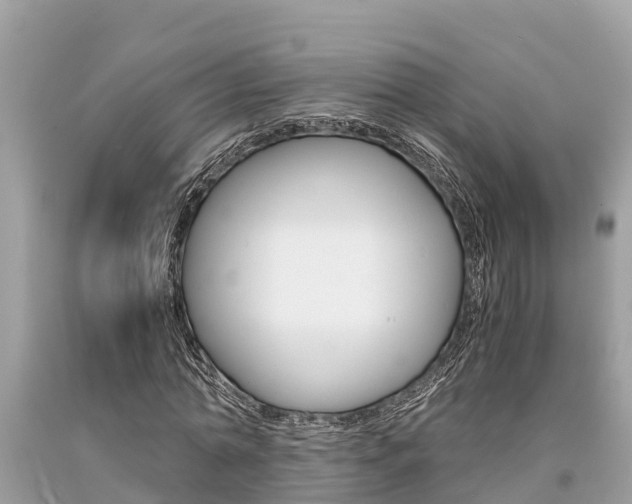 X0000094180774200710260931