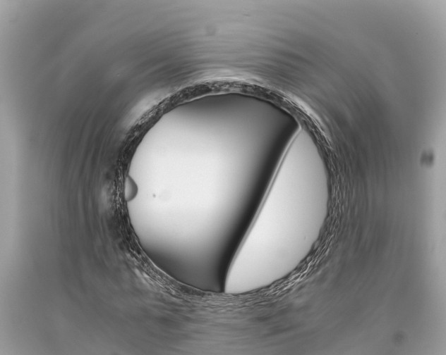 X0000094180775200710260931