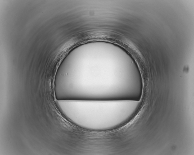 X0000094180777200710260931